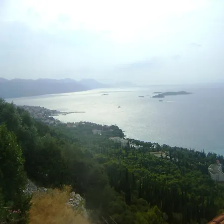 Tija شقة أوروبيتش